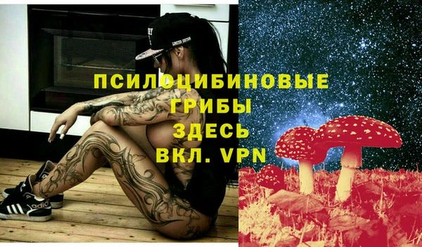 молекула духа Наволоки