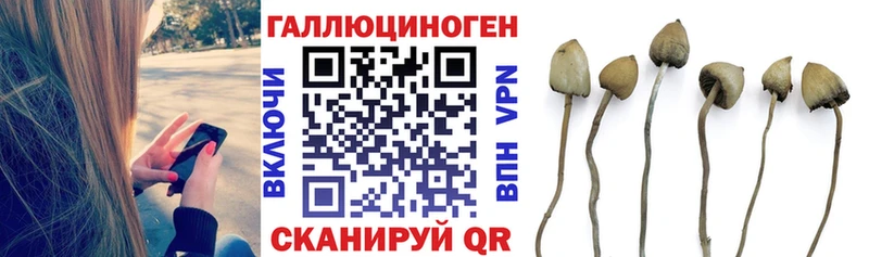 Галлюциногенные грибы Psilocybe  OMG онион  Нелидово 